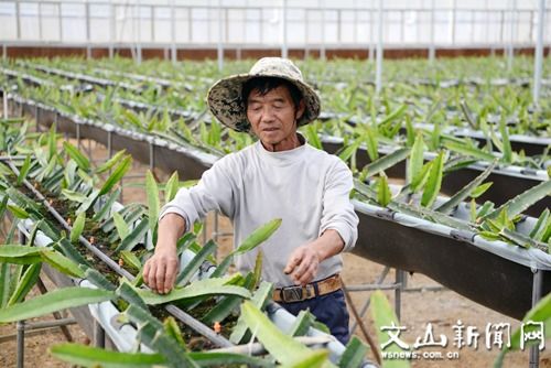 砚山县 扶贫车间建村头 群众脱贫有盼头