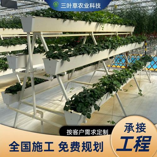 定制草莓种植槽无土栽培设施立体种植槽无土栽培水培蔬菜种植架
