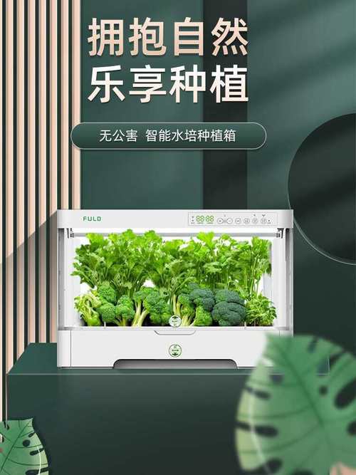 水培种植机无土栽培设备水耕蔬菜庭室内芽苗菜种植箱